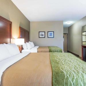 Queen Room with Two Queen Beds - Non-Smoking/Pet Friendly