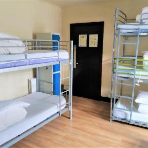 Bed in 8-Bed Dormitory Room