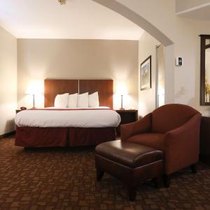 King Suite - Mobility Accessible with Bathtub and Sofa Bed