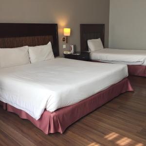 Basic Triple Room