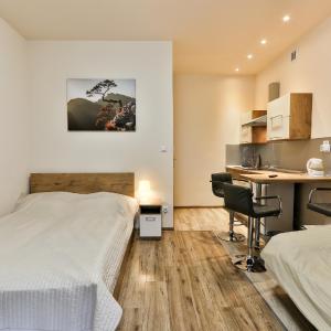 One-Bedroom Suite