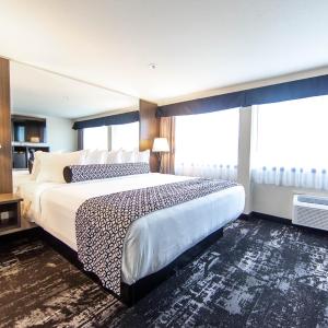 King Room with Roll-In Shower - Disability Access