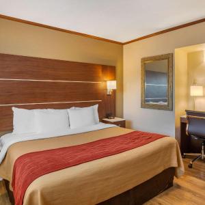 Accessible Room, 1 King Bed, Roll-In Shower, Non Smoking