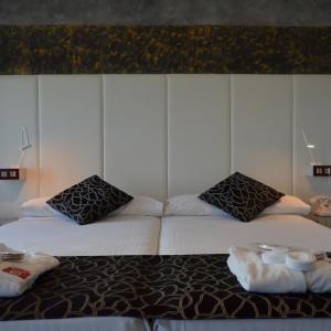 Double or Twin Room (1-2 Adults)
