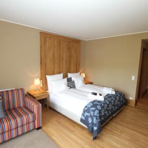 Double Room with Mountain View - Rimberg