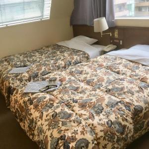 Twin Room - Non-Smoking