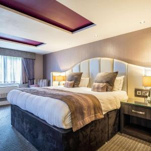 Tall King Suite