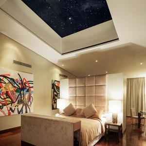 Penthouse Apartment
