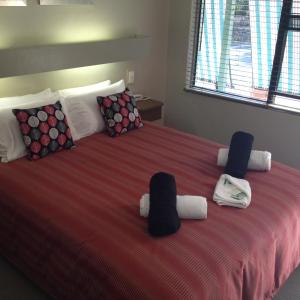 Standard Queen Room - Pet Friendly