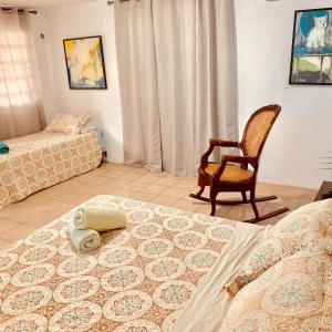 One-Bedroom Villa
