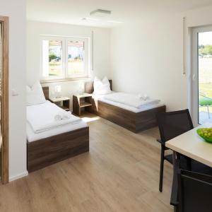 Twin Room with Terrace