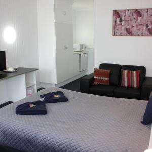 Superior Queen Room