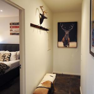One-Bedroom Apartment - Tara