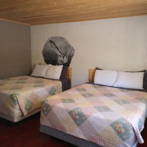 Basic Double Room