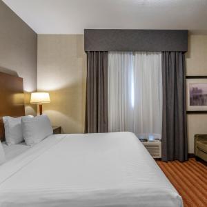 One-Bedroom King Suite - Non-Smoking