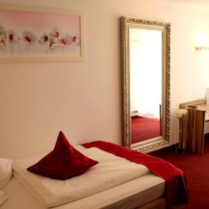 Single Room with french balcony 