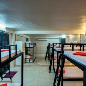 Single Bed in 12-Bed Mixed Dormitory Room