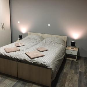 Deluxe Double Room (2 Adults + 1 Child)