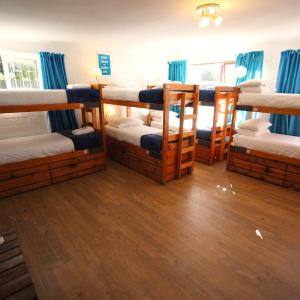 Bed in 10-Bed Mixed Dormitory Room