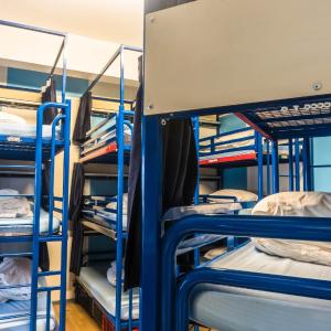 Bed in 18-Bed Mixed Dormitory Room