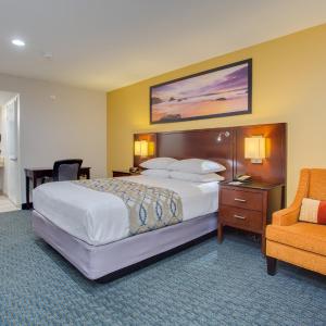 Queen Room - Disability Access/Non Smoking