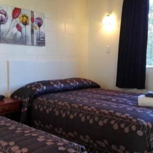 Large One-Bedroom Apartment