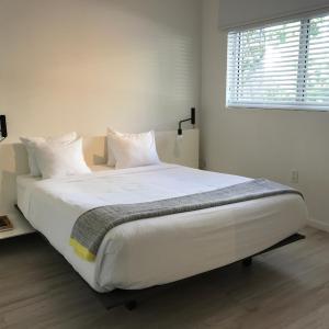 One-Bedroom Apartment - 1 Queen