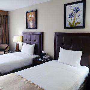 Executive Twin Room