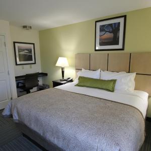 One-Bedroom King Suite