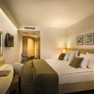 Special Offer Double Room - New Year's Package