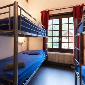 Bed in 4-Bed Dormitory Room