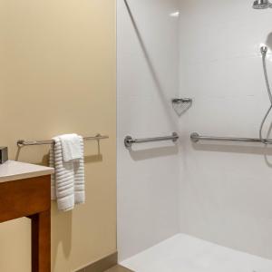 King Room with Roll-In Shower - Accessible/Non-Smoking