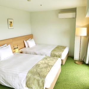 Deluxe Twin Room - Non-Smoking