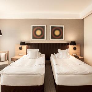 Superior Double Room with Terrace