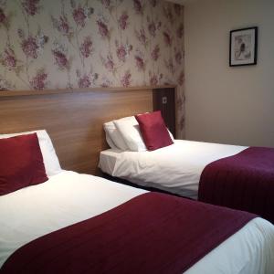 Superior Twin Room - Disability Access