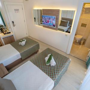 Standard Double or Twin Room with Balcony