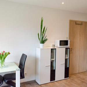 Studio - Ground Floor with Terrace