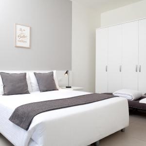 Superior Apartment with City View