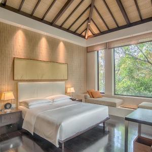 King Room with Garden View