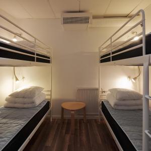 Bed in 4-Bed Dormitory Room