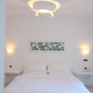 Superior Double Room with Lake View