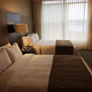 Standard Room with Two Queen Beds