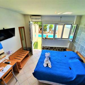 Superior Room - Beachfront