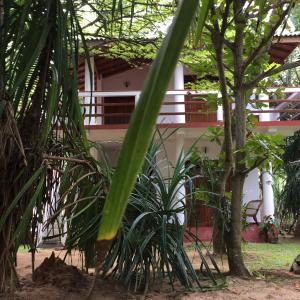 Double Room with Lake View