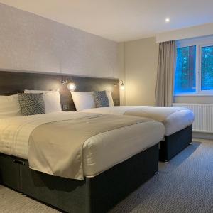 King Suite with Two King Beds - Non-Smoking