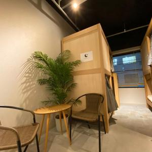 Bunk Bed in 6-Bed Mixed Dormitory Room