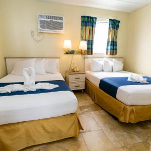 Double Room with Two Double Beds