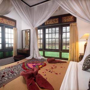 Standard Double or Twin Room with Fan