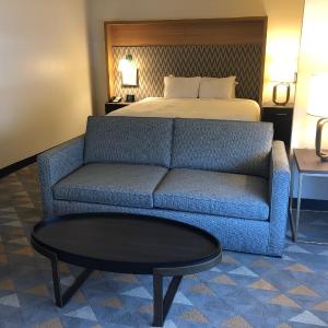 King Suite with Sofa Bed