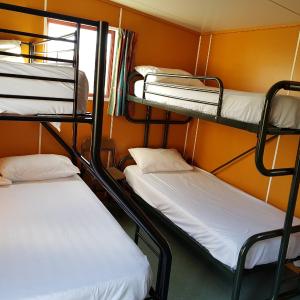 Standard Cabin